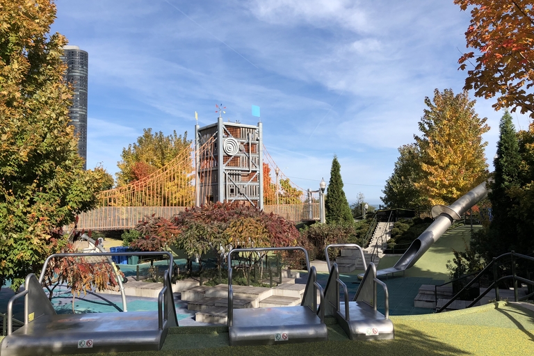 Playground with rope bridge, slides, and fall foliage.