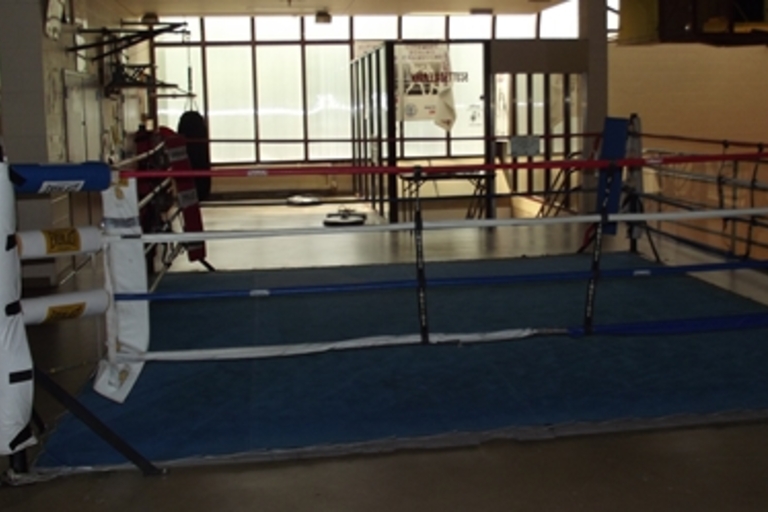 Boxing ring with blue mat and red and white ropes.