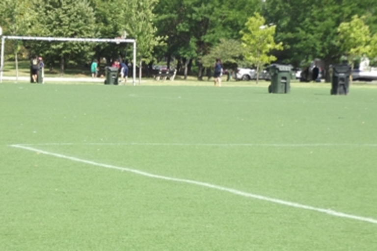 Green turf soccer field with players in the background.