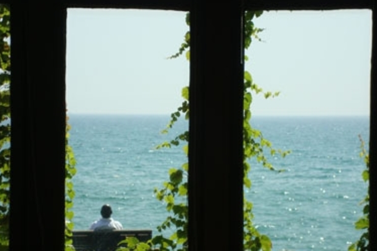 Person sits contemplatively facing a sparkling ocean, framed by window and vines.
