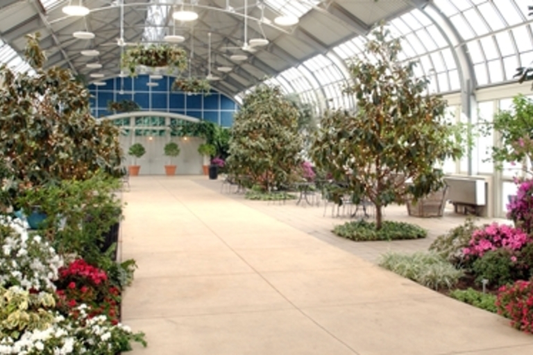A bright conservatory with a variety of plants and a central walkway.

