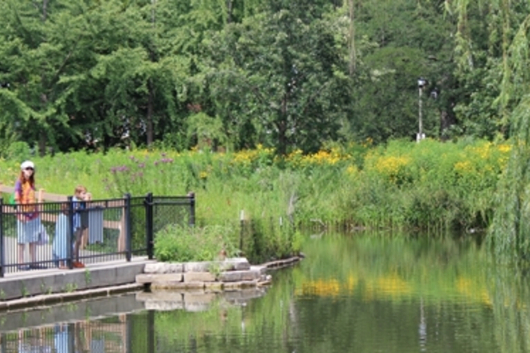 People on a walkway by a pond in a park.