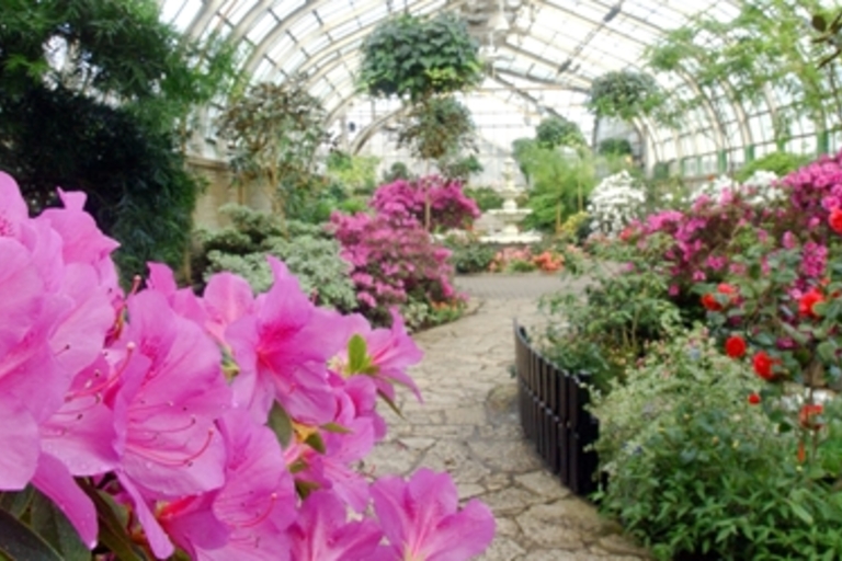 Bright pink azaleas in a greenhouse filled with colorful flowers. Stone path leads to a fountain.
