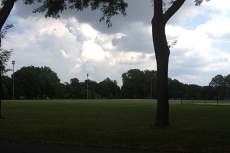 Large grassy park with trees and cloudy sky.