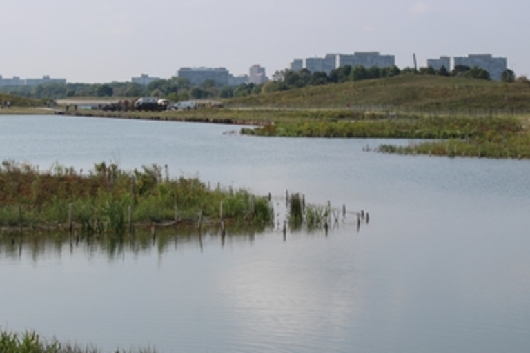 Calm waters of a constructed wetland with buildings in the background.