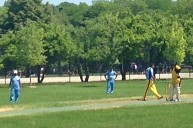 A cricket match in a park. Players in blue and yellow uniforms are spread across the field.