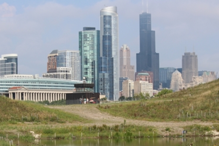 Chicago skyline from Northerly Island prairie.