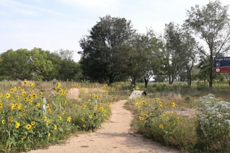 Dirt path winds through wildflowers and sunflowers, leading towards trees and a "Single Track" sign.
