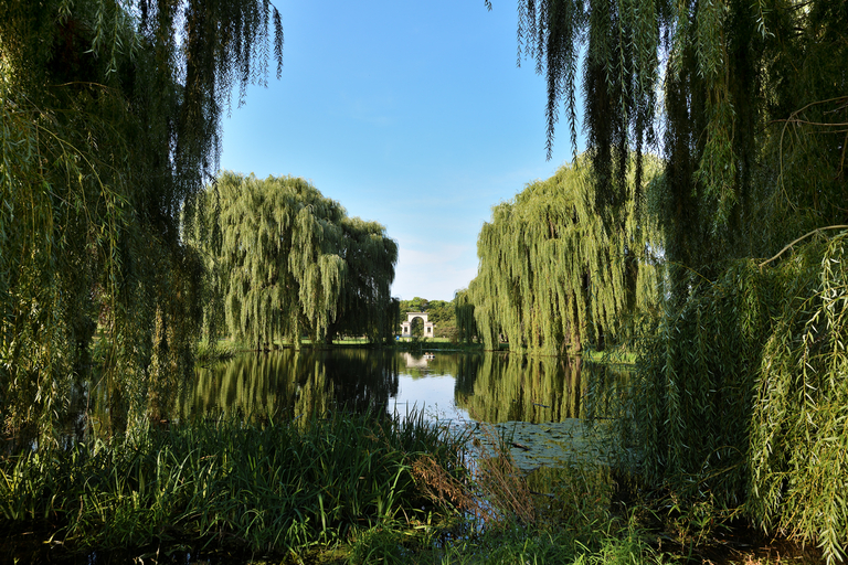 Serene park pond framed by weeping willows, with a distant archway.
