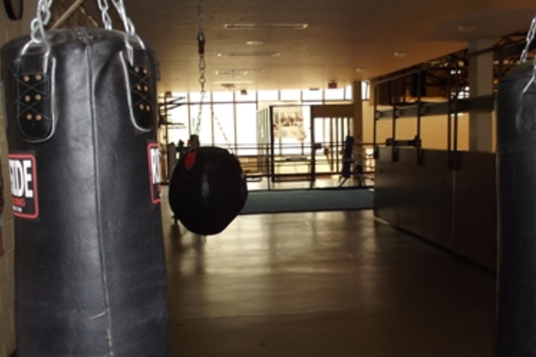 Boxing gym with heavy bags and speed bag.
