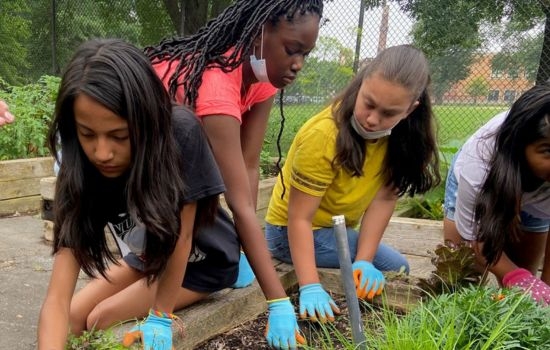 Four children wearing gardening gloves tend to plants in a raised garden bed.