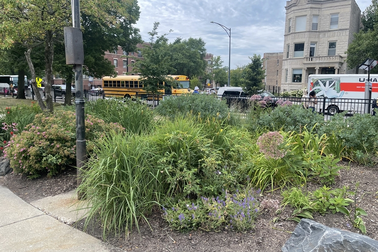 Small urban garden with a mix of flowers, grasses, and shrubs. A school bus and a U-Haul truck are visible in the background.
