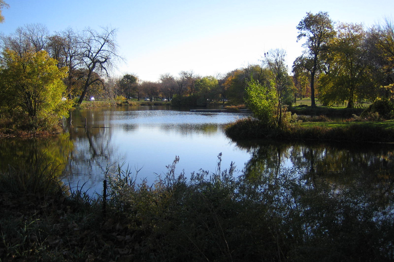 Serene autumn pond reflecting trees and sky.