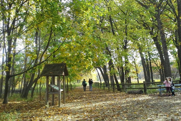 Leafy path through woods in autumn. Information kiosk and split rail fence visible.