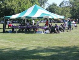 People gather at tables under a green and white tent in a park.