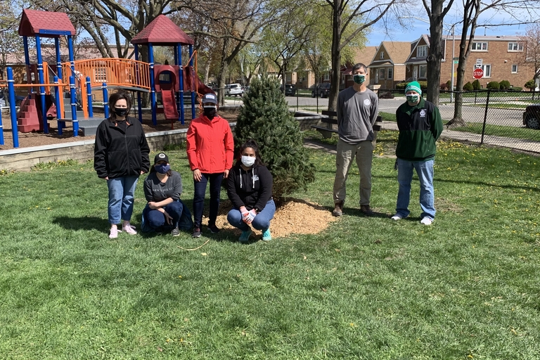 Five people stand around a newly planted sapling near a playground.