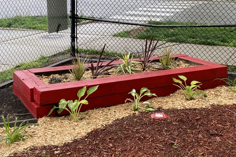 Red raised garden bed with various plants and wood chip mulch.