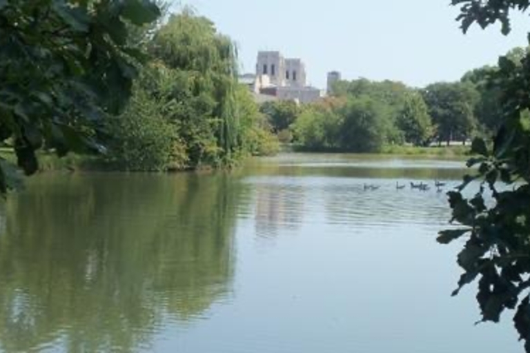 Serene lake with ducks, trees, and a cathedral in the background.
