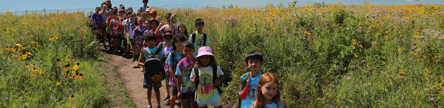 Children hike on a trail through a field of wildflowers.