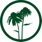 Green coneflower graphic in a green circle.
