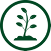 Green sprout icon.