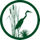 Green silhouette of a heron among reeds.
