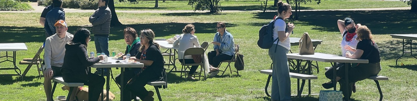 People sit at picnic tables on a grassy area on a sunny day.